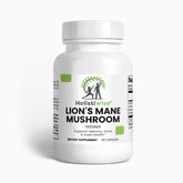 Lion's Mane Mushroom