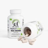 Sea Moss