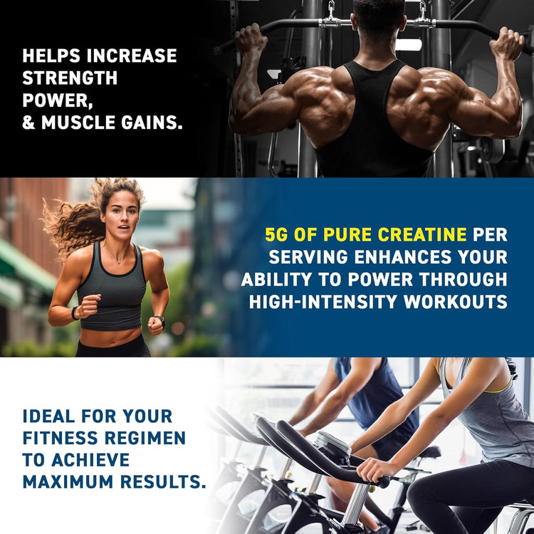 Applied Nutrition Creatine Monohydrate Powder 500g – 100% Micronized Creatine – 5g per Serving – Unflavoured – Supports High-Intensity Performance – 100 Servings