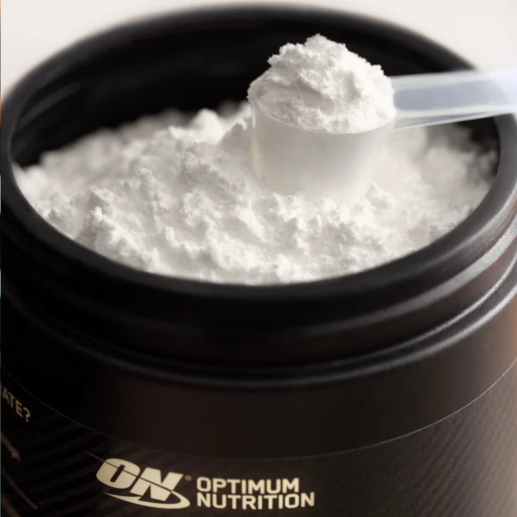 Optimum Nutrition Micronised Creatine 317g