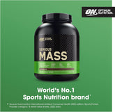 Optimum Nutrition Serious Mass 2.73kg Chocolate