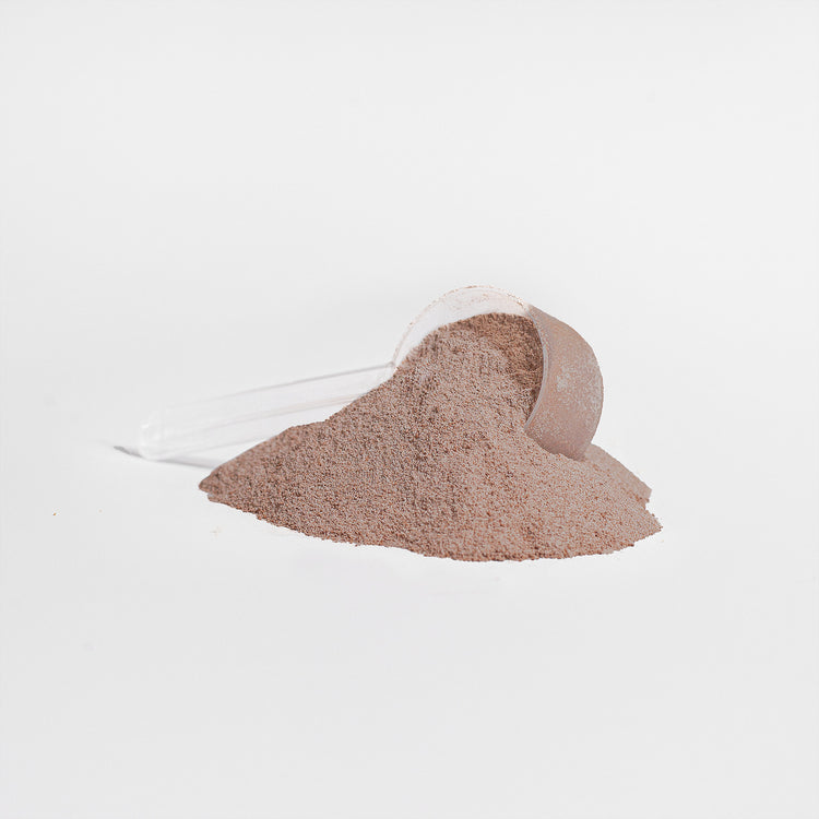 Advanced 100% Whey Protein Isolate – Chocolate | 22g Protein | Non-GMO | Post-Workout | 2lb