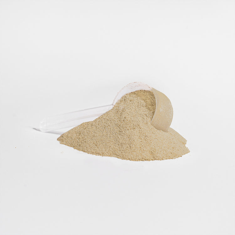 Advanced 100% Whey Protein Isolate – Vanilla | 22g Protein Per Serving | Post-Workout Recovery & Muscle Support