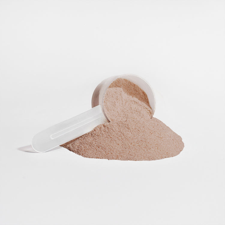 Plant Protein (Chocolate) – 21g Vegan Protein | 850g | Muscle Recovery & Gut Health